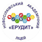  Новосілківський академічний ліцей "Ерудит" Чабанівської селищної ради Фастівського району Київської області